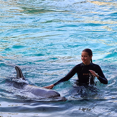 Swimming with Dolphins in Whyalla while on Nurse contract